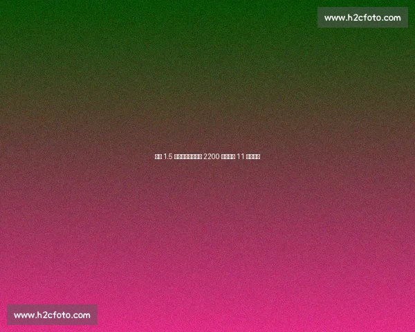 拜仁 1.5 亿引援全离队净赚 2200 万，却酿 11 年首冠荒