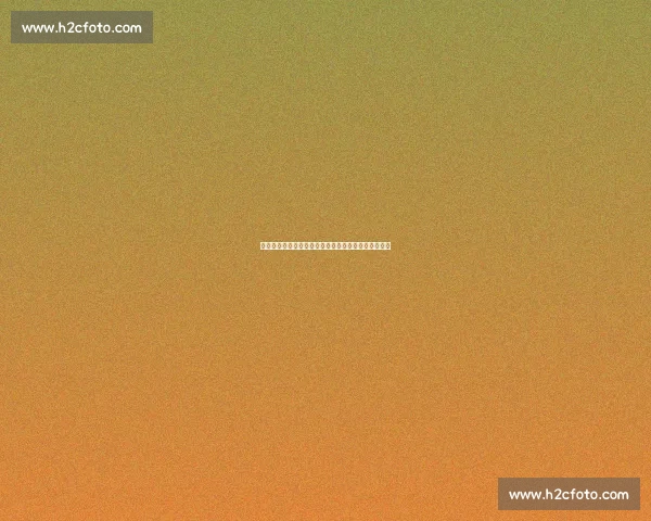 罗马诺确认!布伦特福德签下费耶诺德中场新星米兰博