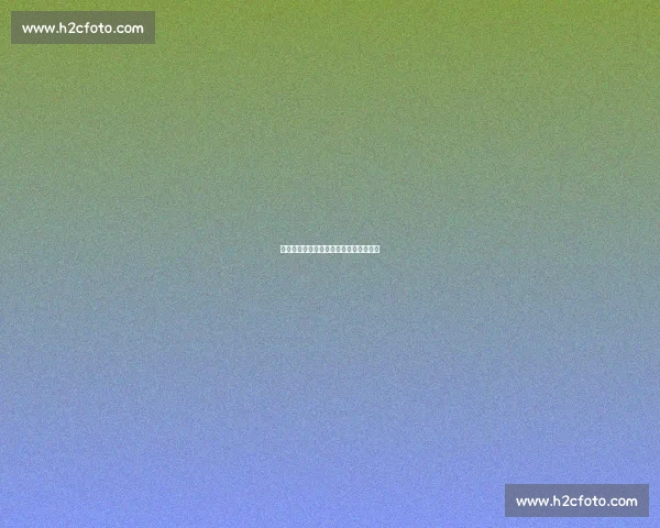 甜瓜入堂:无冠亦传奇,丹心不负篮球魂