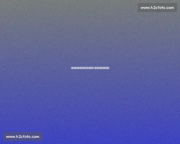 张本智和横滨夺冠脱衣庆祝引争议 中日球迷激辩体育礼仪