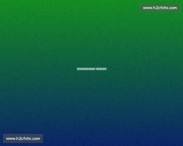 合肥姑娘吴晓微：一拳定音 散打世锦赛登顶