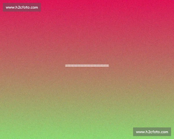 洛塞尔索揭秘：与梅西从偶像到挚友，阿根廷传奇锁定美加墨世界杯