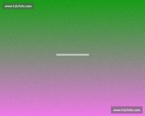 肖赧:东亚杯国足需以成绩为纲,新人培养应服务于战略目标