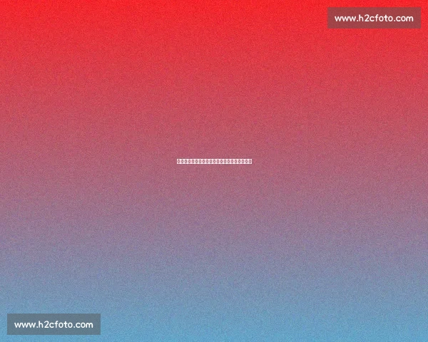 哈萨克斯坦学子：在世界技能舞台点亮青春梦想