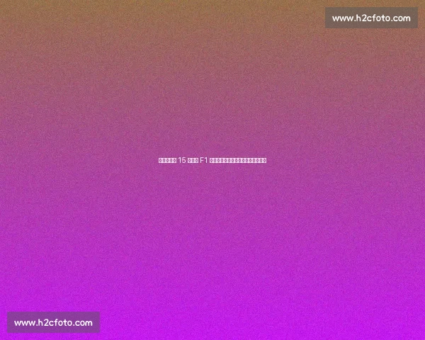 皮亚斯特里 15 分领跑 F1 积分榜,诺里斯紧追维斯塔潘陷困境