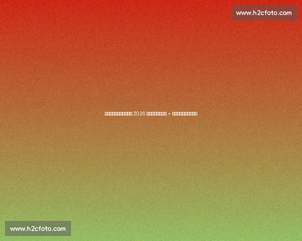 卡塞米罗铁心留曼联剑指 2026 世界杯：安帅力挺 + 英超淬炼铸就中场磐石