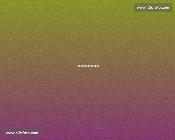 时间为证:名场面背后的时光答案 时间为证:名场面背后的时光答案