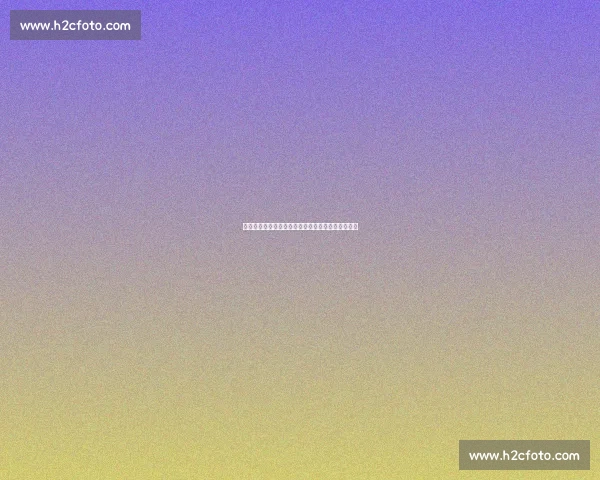 大数据预言成真：从市场颠覆到生命守护的多维突破