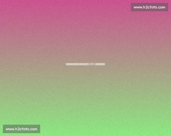 佩杜拉：拉齐奥铁心留住罗韦拉，5000 万解约金难动摇