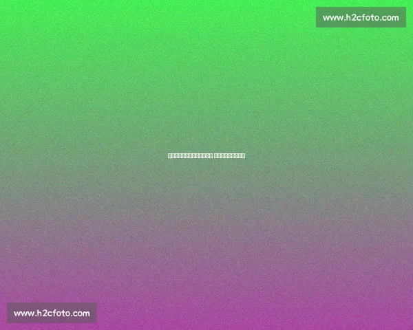 巴西新星里贝罗首秀征服欧洲 阿森纳那不勒斯竞逐