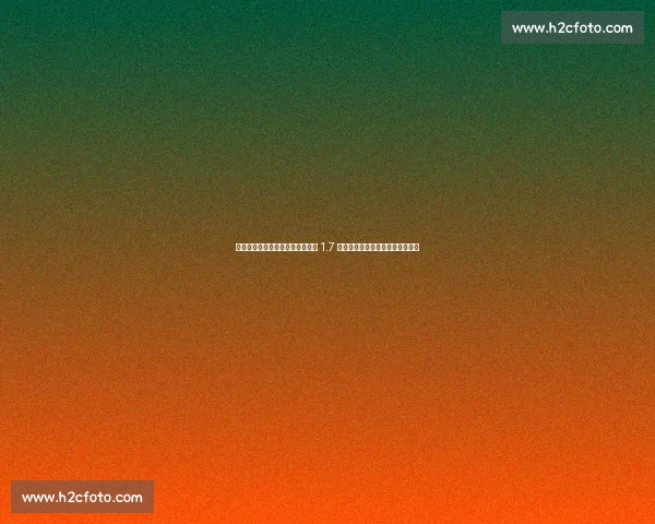 女排世联赛观众纪录刷新！土耳其 1.7 万上座创历史，中国两站憾失良机