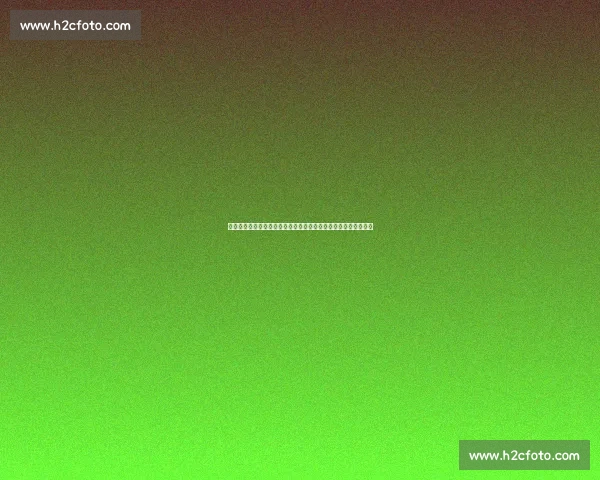 圣西罗摊贩禁令引发争议：米兰双雄限卖食品，球迷呼吁低价选择