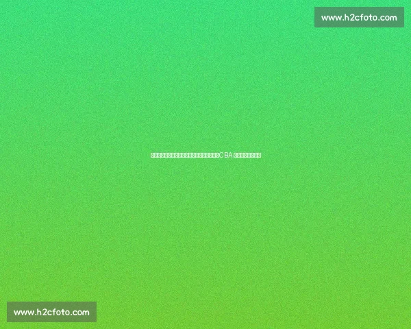 吉伦沃特禁药事件升级：涉毒刑事调查开启，CBA 外援面临两年禁赛