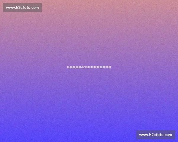 太阳官方庆生！比尔 32 岁焕发新生，高效赛季再证全明星价值