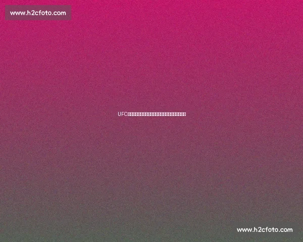 UFC史诗对决琼斯挑战席尔瓦谁将主宰中量级格斗的未来