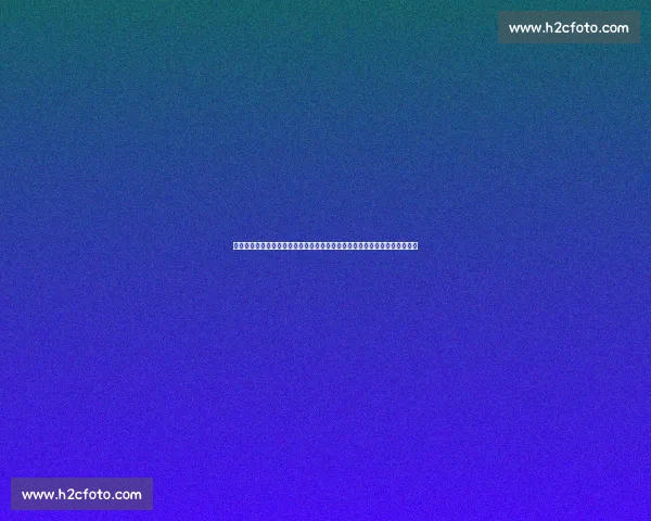 国米迎战卢队强强对话焦点之夜战术与胜负走向解析全面前瞻与关键球员观察