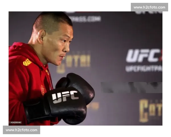 杨建平对决宁广友揭示中美格斗差距与舆论风暴真相背后行业反思