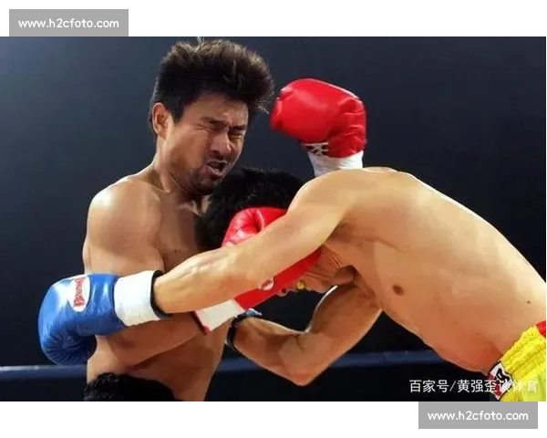 一龙与王洪祥巅峰对决背后故事揭晓谁才是真正散打时代传奇