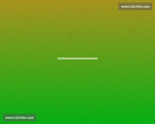 阿根廷对阵克罗地亚巅峰对决梅西能否率队再创奇迹世界杯焦点战之夜